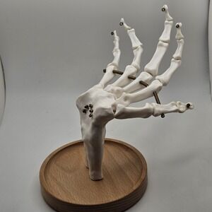 Suck UK Skeleton Hand Jewelry Tidy Holder Organizer Halloween